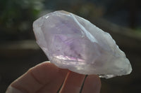 Natural Jacaranda Amethyst Crystals x 12 From Mumbwa, Zambia