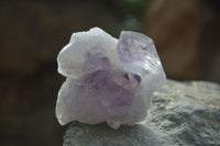 Natural Jacaranda Amethyst Crystals x 12 From Mumbwa, Zambia