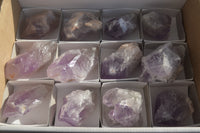 Natural Jacaranda Amethyst Crystals x 12 From Mumbwa, Zambia