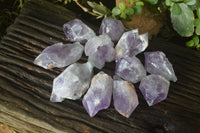 Natural Jacaranda Amethyst Crystals x 12 From Mumbwa, Zambia