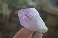 Natural Jacaranda Amethyst Crystals x 12 From Mumbwa, Zambia