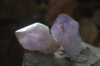 Natural Jacaranda Amethyst Crystals x 12 From Mumbwa, Zambia