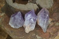 Natural Jacaranda Amethyst Crystals x 12 From Mumbwa, Zambia