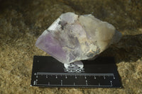 Natural Jacaranda Amethyst Crystals x 12 From Mumbwa, Zambia