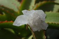 Natural Clear Quartz Clusters x 35 From Solwezi, Zambia