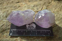 Polished Jacaranda Amethyst Crystals x 12 From Mumbwe, Zambia