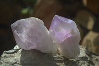 Polished Jacaranda Amethyst Crystals x 12 From Mumbwe, Zambia