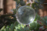 Polished Clear Quartz Galet / Palm Stones x 12 From Madagascar