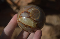 Polished Septaria Spheres x 6 From Mahajanga, Madagascar