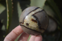 Polished Septaria Spheres x 6 From Mahajanga, Madagascar