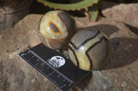 Polished Septaria Spheres x 6 From Mahajanga, Madagascar