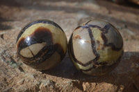 Polished Septaria Spheres x 6 From Mahajanga, Madagascar