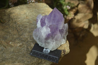 Natural Jacaranda Amethyst Clusters x 2 From Mumbwe, Zambia