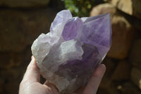 Natural Jacaranda Amethyst Clusters x 2 From Mumbwe, Zambia