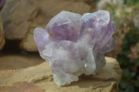 Natural Jacaranda Amethyst Clusters x 2 From Mumbwe, Zambia