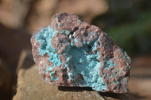 Natural Drusy Chrysocolla Dolomite Specimens x 6 From Likasi, Congo