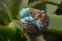 Natural Drusy Chrysocolla Dolomite Specimens x 6 From Likasi, Congo