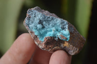 Natural Drusy Chrysocolla Dolomite Specimens x 6 From Likasi, Congo