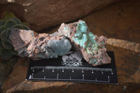 Natural Drusy Chrysocolla Dolomite Specimens x 6 From Likasi, Congo