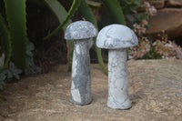 Polished Extra Large Howlite Mushrooms  x 2 From Zimbabwe