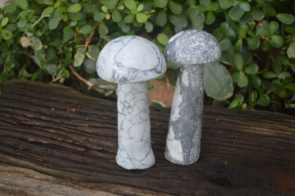 Polished Extra Large Howlite Mushrooms  x 2 From Zimbabwe