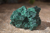 Natural Chatoyant Silky Malachite Specimens  x 6 From Kasompe, Congo