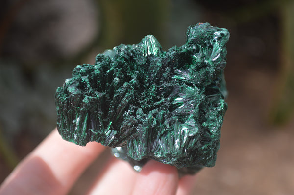 Natural Chatoyant Silky Malachite Specimens  x 6 From Kasompe, Congo