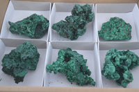 Natural Chatoyant Silky Malachite Specimens  x 6 From Kasompe, Congo