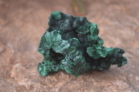 Natural Chatoyant Silky Malachite Specimens  x 6 From Kasompe, Congo