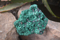 Natural Chatoyant Silky Malachite Specimens  x 6 From Kasompe, Congo