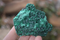 Natural Chatoyant Silky Malachite Specimens  x 6 From Kasompe, Congo