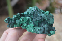 Natural Chatoyant Silky Malachite Specimens  x 6 From Kasompe, Congo