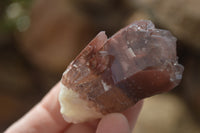 Natural Red Hematoid Quartz Specimens x 24 From Karoi, Zimbabwe