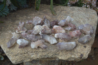 Natural Red Hematoid Quartz Specimens x 24 From Karoi, Zimbabwe