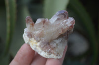 Natural Red Hematoid Quartz Specimens x 24 From Karoi, Zimbabwe