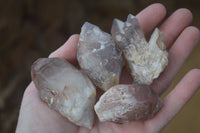 Natural Red Hematoid Quartz Specimens x 24 From Karoi, Zimbabwe