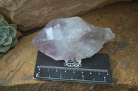 Natural Amethyst Crystal Specimens x 6 From Zambia