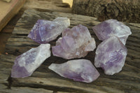 Natural Amethyst Crystal Specimens x 6 From Zambia