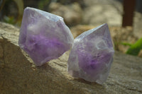 Natural Amethyst Crystal Specimens x 6 From Zambia