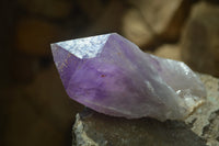 Natural Amethyst Crystal Specimens x 6 From Zambia