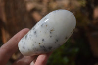 Polished Dendritic Opal Standing Free Forms x 6 From Moralambo, Madagascar