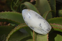 Polished Dendritic Opal Standing Free Forms x 6 From Moralambo, Madagascar