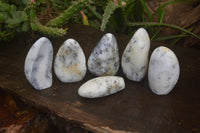 Polished Dendritic Opal Standing Free Forms x 6 From Moralambo, Madagascar