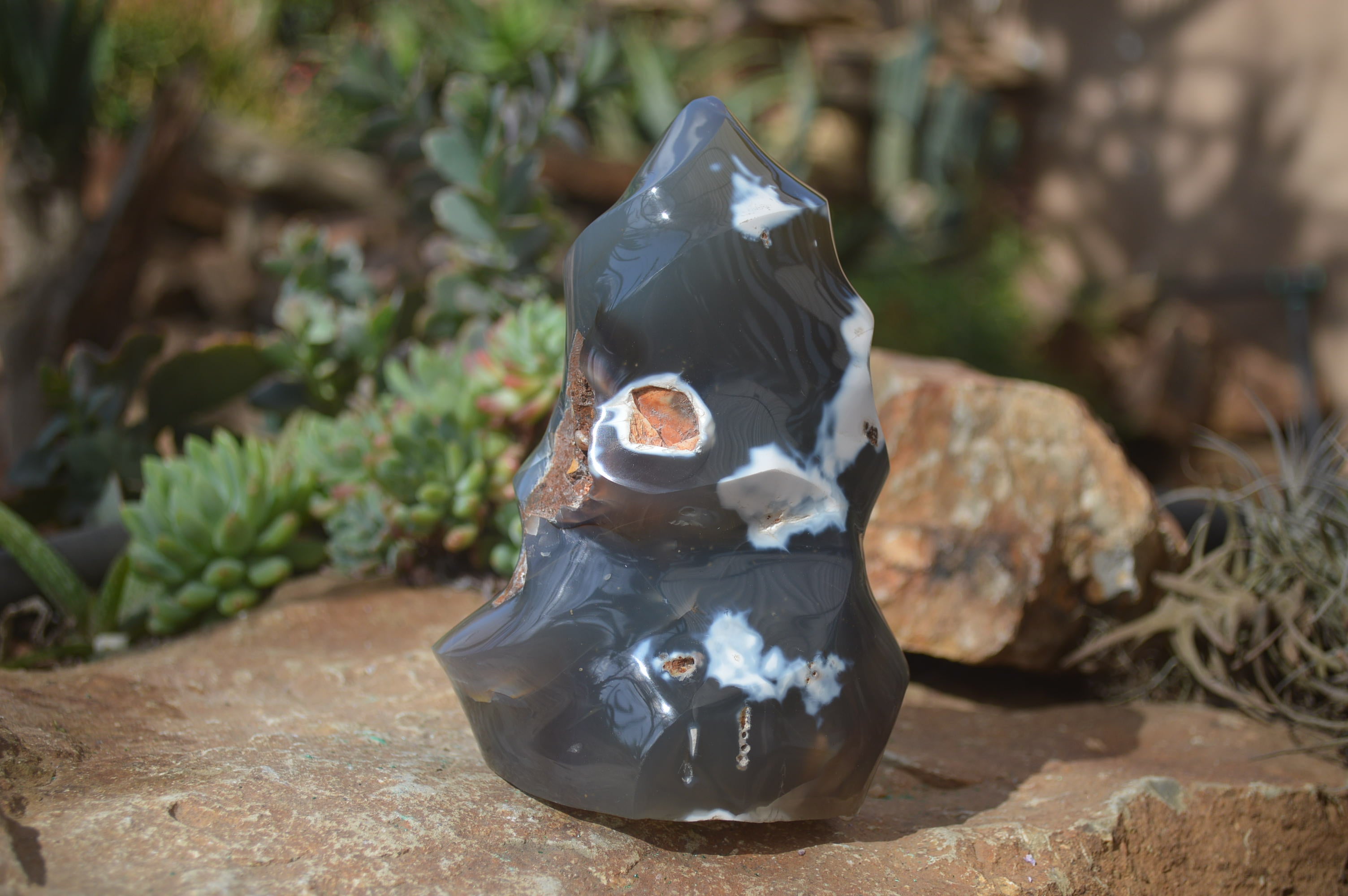 Very Large Orca Agate store Flame