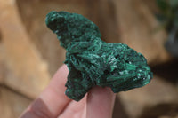 Natural Chatoyant Silky Malachite Specimens  x 12 From Congo