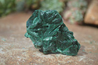 Natural Chatoyant Silky Malachite Specimens  x 12 From Congo