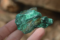 Natural Chatoyant Silky Malachite Specimens  x 12 From Congo