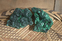 Natural Chatoyant Silky Malachite Specimens  x 12 From Congo