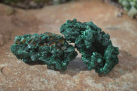 Natural Chatoyant Silky Malachite Specimens  x 12 From Congo