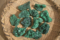 Natural Chatoyant Silky Malachite Specimens  x 12 From Congo